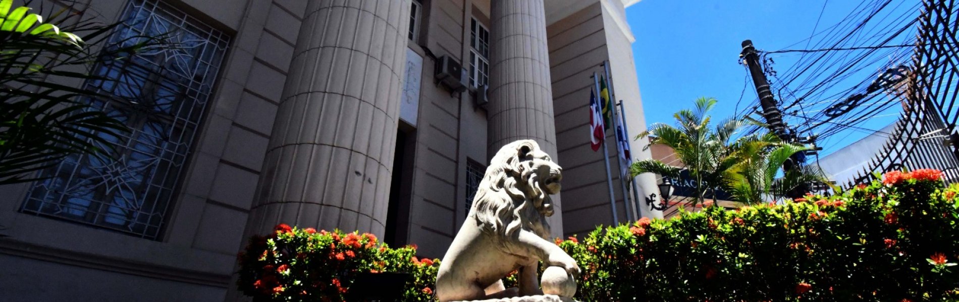 [CNJ acolhe pedido da OAB-BA e derruba exigência de reconhecimento de firma em procurações imobiliárias]