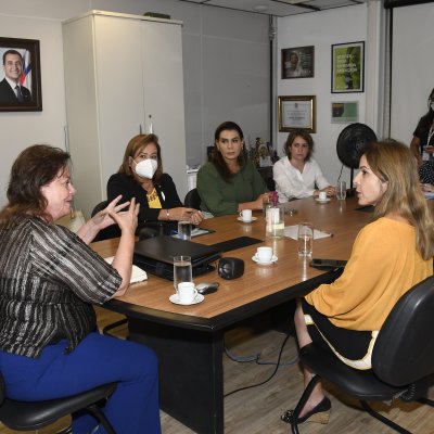 [Em reunião na SPM, OAB-BA debate cuidados com egressas do sistema prisional]